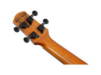 Ibanez AUC10E-OPN Ibanez AUC10E-OPN